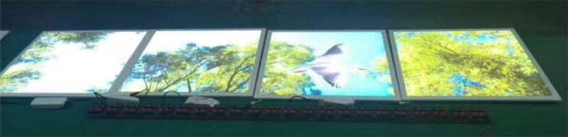 skylight flat panel